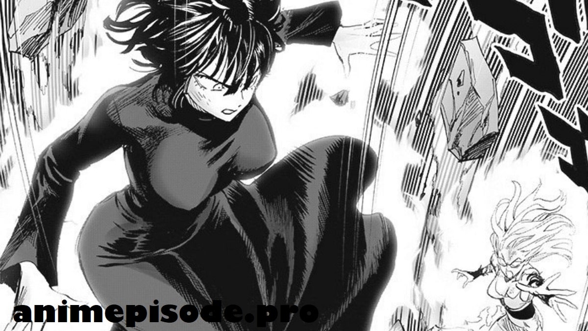 One Punch Man Chapter 177 Release Date